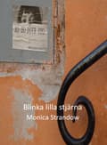 Blinka lilla stjärna 9789187285035