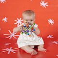 Miniatyrbilde 5 av 5: Dww-Toy Color Burst Rattle og tannleke, 15,25 x 15,25 x 15,25 centimeter