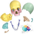 Pikkukuva 5 / 5: Anatomian kallon malli, ihmisen anatomian kallon palapeli, irrotettava mini-ihmisen kallon malli, klinikan opetus（Valokuva väri）