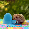Miniatyrbild 4 av 4: Keramisk Vattenflaska för Hamster, Automatisk Vattendispenser, Tyst, för Igelkott, Kanin, Katt