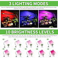 Miniatyrbillede 2 af 5: Led Grow Light til Indendørs Planter, Dobbelt Hoved 40 LED 10 Dæmpbare Niveauer Timing Funktion 3/9/12H