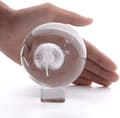 3D Maskros Kristallkula Pappersvikt Lasergraverad Glassfär Display Globe Meditationskula Heminredning med Kristallstativ