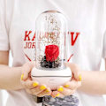 Miniatyrbilde 1 av 5: Bevart duft, bærbar lampe, oppladbar, USB aromadiffusor for hjem, kontor, soverom (rosa)
