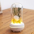 Miniatyrbilde 3 av 5: Bærbar lampe oppladbar USB aroma diffuser for hjemmekontor soverom-hvit