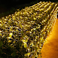 Miniatyrbillede 1 af 5: Led-lyskæde til udendørs brug 320 Led-lyskæde Netlysgardin Varm hvid 8 tilstande Julebelysning Med fjernbetjening Timer Led-lyskæde til indendørs