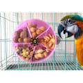 Miniatyrbild 3 av 5: Fågel Kreativ Foder System Hjul Frö Mat Boll Roterande Träningsleksak för Små och Medelstora Parakiter Kakadu Conure