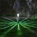 Miniatyrbild 5 av 5: Solcellslampor Solcellslampor Utomhus Vattentät IP65 LED Solcellslampor Trädgårdslampor Metallbelysning För Gården GAO0856（A，Vit）