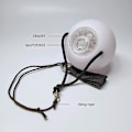 Miniatyrbilde 2 av 5: Noctilucent Poi LED flerfarget lys poi med Firetoys-pose
