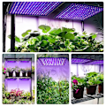 Miniatyrbilde 7 av 7: Plantelampe 27W 256 LED, Full Spectrum Plantevekstlys for Innendørs Planter, Frøplante