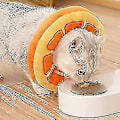 Miniatyrbild 4 av 4: Sl Runmeihe kattkon krage återställningskrage, justerbar kattkon, mjuk Elizabethan krage orange 1 st)