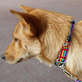 Miniatyrbilde 5 av 5: Reflekterende Hundehalsbånd. Passer til små, mellomstore og store hunder (S, farget bånd)