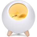 Led natlys kattehus atmosfærelys USB opladning led nat