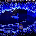 Miniatyrbillede 3 af 5: LED Vandtætte Lyskæder Med Multi-flash Tilstand Ferie Dekoration Fest (Blå)