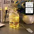 Miniatyrbillede 4 af 4: LED-lyskæde - 10 stk. 2M 20LEDs kobbertråd, batteridrevet lyskæde til lang tynd vase, bord, indendørs udendørs, ferie, bryllup, fest