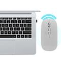 Miniatyrbillede 5 af 8: 2.4Ghz Trådløs Genopladelig Mus Lydløs Ergonomisk Computer Optisk Mus til Hjemmekontor Sølv