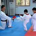 Miniatyrbillede 7 af 7: Taekwondo Dobbelt Spark Træningsmåtte Slagpude Target Tae Kwon Do Karate Kickboxing