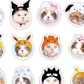 Miniatyrbilde 7 av 8: 40 stk Søte Katt Klistremerker Multifunksjonelle Morsomme Pus Klistremerker for Flaske Laptop Skateboard Wonder Cat