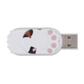 Miniatyrbillede 3 af 8: Flash Disk Bærbar Sød Kattepote Form Thumb Memory Stick til Informationslagring Dataoverførsel Gave Farverig Cool 16GB