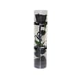 [LLC] Ægte konserveret rose, evighedsrose, holdbar rose, evigt blomstrende rose black