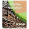 Miniatyrbild 2 av 5: [LLC] Cork Coasters, 6 Pcs High-Density Thick Square Cork Trivets for Hot Dishes, 8 Inch Multifunctional Cork Mat