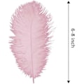 Miniatyrbild 2 av 5: 20 st Pinka Strutsfjädrar 8-10 tum (20-25 cm) Bulk för Bröllop, Påsk, Gatsby Dekorationer