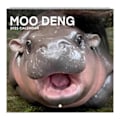 Pikkukuva 1 / 5: Moo Deng Hippo 2025 -kalenteri 12 kuukautta Kääpiövirtahevon seinäkalenteri Ripustettava kuukausittainen kalenteri aikatauluttamiseen, järjestämiseen ja suunnitteluun
