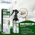 Miniatyrbilde 5 av 5: Sengemidd og støvmidd dreper naturlig spraybehandling, grønn pepperkornmidd fjerner husholdnings sengedyne sofa middmiddforebygging middfordrivelse middsha