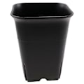Miniatyrbillede 5 af 5: 12 stk. - Pakke Sort Firkantet Plastik Potte til Sukkulenter, Planter, Blomster, Kaktus, Etc., Sort Planteskole F