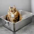 Miniatyrbilde 2 av 5: Rektangulær Kattedo i Rustfritt Stål, Bruddsikker Lav Inngang Åpen Romslig Metall Kattedo Kjæledyrstilbehør M 1