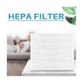 Miniatyrbillede 3 af 5: C545 Ægte HEPA udskiftningsfilter S til C545 luftrenser, erstatter S-filter 1712-0096-00, 2-pak H