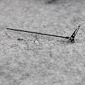 Miniatyrbilde 3 av 5: 2 stk. Halemotorsett for Xk K110 V977 RC Helikopter Oppgraderingsdeler Reservedeler