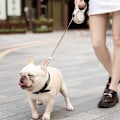 Miniatyrbillede 2 af 5: 2025 Ny Rulleline til Hund med 3 meter Lille Kæledyrs Gåbælte 360 Grader Filtringsfri Egnet