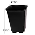 Miniatyrbillede 4 af 5: 12 stk. - Pakke Sort Firkantet Plastik Potte til Sukkulenter, Planter, Blomster, Kaktus, Etc., Sort Planteskole F