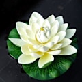Miniatyrbillede 5 af 5: 6 stk. Kunstige Flydende Skum Lotusblomster, med Vandpude Ornamenter, Elfenbenshvid, perfekt til Terrasse