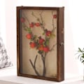 Miniatyrbild 3 av 5: Display Box Fotoram Insektsamling Displaybox MM