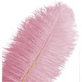 Miniatyrbillede 1 af 5: 20 stk. Rosa Strudsefjer Plume 8-10 tommer (20-25 cm) Bulk til Bryllup, Påske, Gatsby Dekorationer