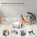 Miniatyrbild 5 av 5: Interaktiv Automatisk Sensor Smart Robot Elektronisk Fjäderleksak Självspelande USB Uppladdningsbara Kattungeleksaker