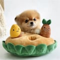 Miniatyrbillede 2 af 5: Hundelegetøj Trækkesæt Kæledyrslegetøj Pibende Kæledyrslegetøj Skjult Mad Legetøj Interaktivt Hundelegetøj Hundetyggelegetøj