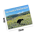 Miniatyrbild 3 av 5: 2024 Hundbajs Kalender Hundbajs Kalender