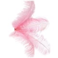 Miniatyrbild 1 av 2: 20 st naturliga strutsfjädrar bröllopsfest dekoration rosa 20-25cm