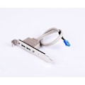 Miniatyrbillede 4 af 4: To-ports USB bagplade til skrivebordscomputer chassis PCI-bit dobbelt-port 2.0 bundkort udvidelseslinje 2pak
