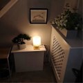 Miniatyrbillede 4 af 5: Regnbuefugle på Gren - Harpiks & Drivtømmer Billede - Regnbuefugl Væghængning til Soveværelse og Stue