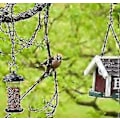 Miniatyrbillede 5 af 5: 4 rustfri stålkæder til ophængning af fuglefoderbræt, vilde fugle foder