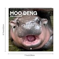 Pikkukuva 3 / 5: Moo Deng Hippo 2025 -kalenteri 12 kuukautta Kääpiövirtahevon seinäkalenteri Ripustettava kuukausittainen kalenteri aikatauluttamiseen, järjestämiseen ja suunnitteluun