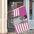 Pikkukuva 2 / 2: Nicholas Chavez Lippu Hauska, Alexander Pink Lippu~Seinälle Ripustettava juliste-lippu 3x5Ft