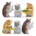 Miniatyrbild 2 av 5: Japansk kattliv version vild DIY modell landskapsdocka prydnader bordsdekor