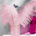 Miniatyrbillede 3 af 5: 20 stk. Rosa Strudsefjer Plume 8-10 tommer (20-25 cm) Bulk til Bryllup, Påske, Gatsby Dekorationer