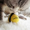 Miniatyrbild 2 av 4: Interaktiv Pipande KattleksakChirpy Bee Ljudleksak för KatterMelody Chaser Leksak med Pip för Uttråkade Kattungar