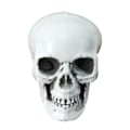Miniatyrbillede 4 af 5: Sæsonbestemt & Julepynt 3 stk. Halloween Skeletter Plast Realistisk Falsk Simulation Menneskekranie Hoved-knogle Model Halloween Rekvisit Realistisk Mini Ske
