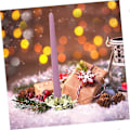 Miniatyrbilde 2 av 5: Julelysestake 10 stk. Klypeholdere for juletre Julestakeholder Klype Juleholder Julefest Stakeholder Stativ Lysestake I